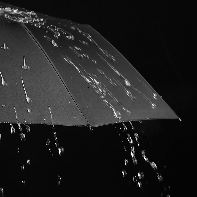 Auto-Open Pongee Umbrella Portable Travel Triple Folding Umbrella