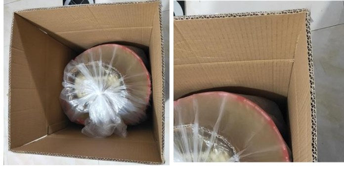 Straw Wide Brim Hat