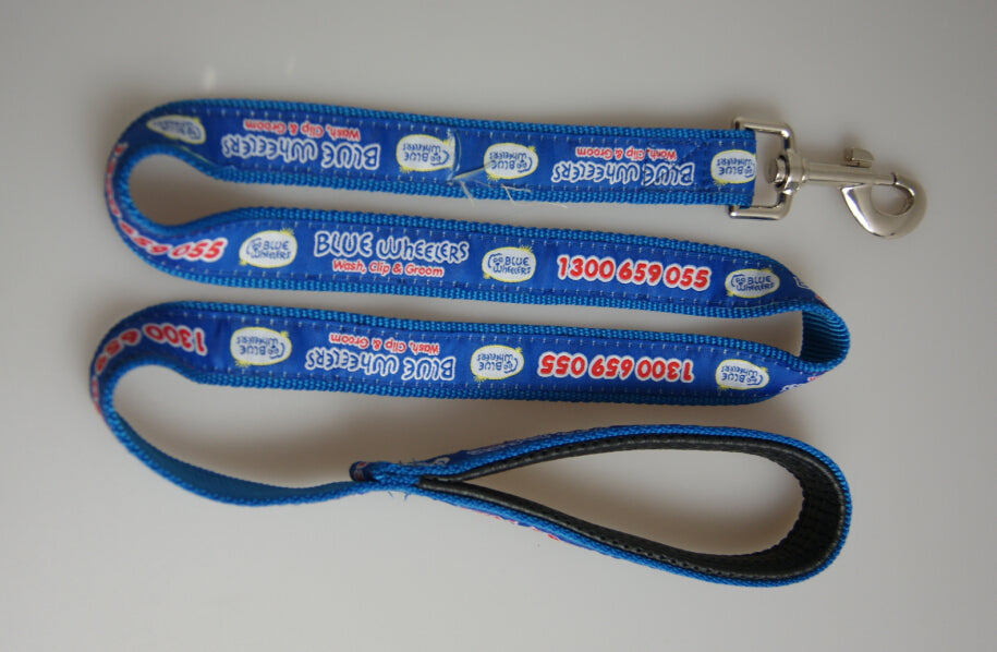 Pet Leash