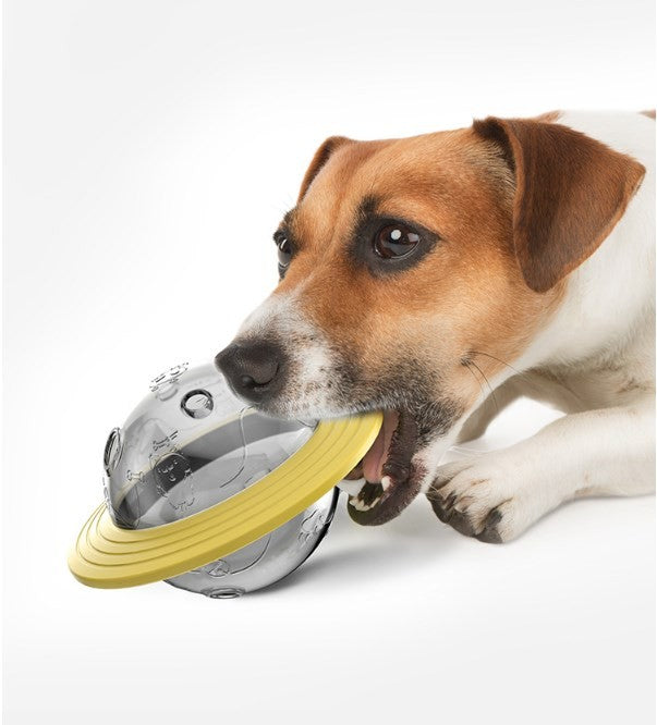 Pet Slow Feeder Ball Dog Treat Ball