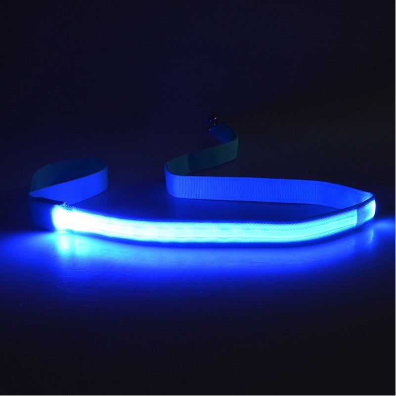 47" LED Light Up Dog Leash