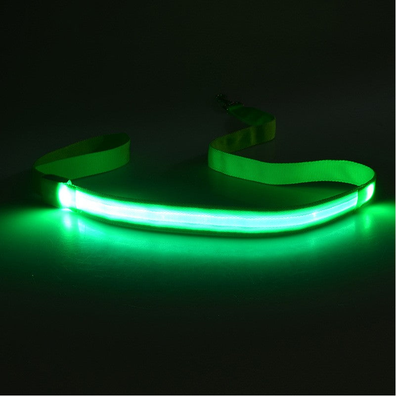 47" LED Light Up Dog Leash