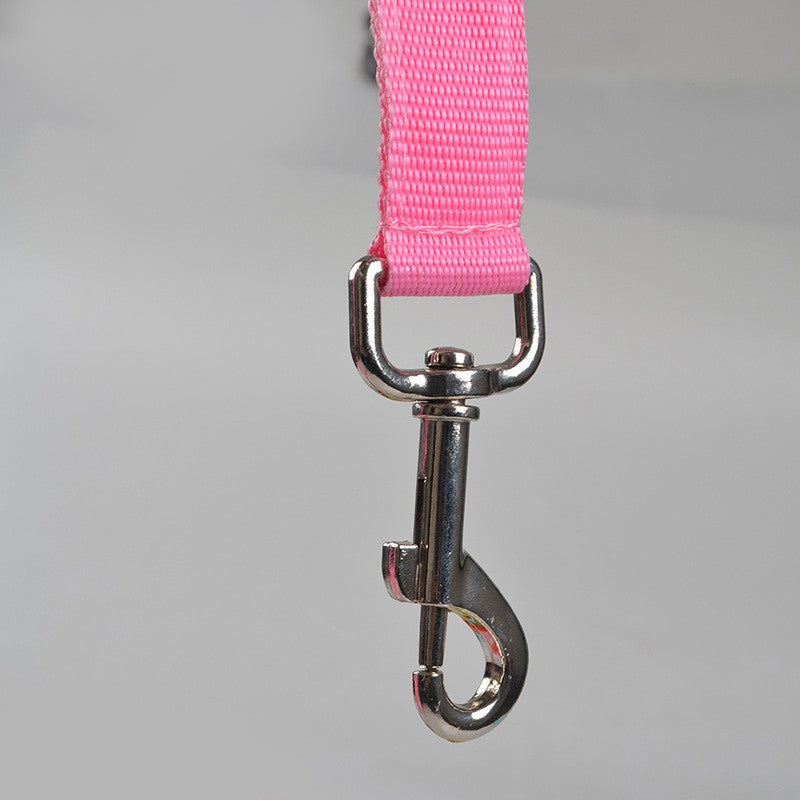 47" LED Light Up Dog Leash