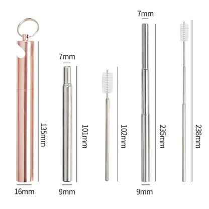 3" 1 Travel Straw Reusable Collapsible Straws Set