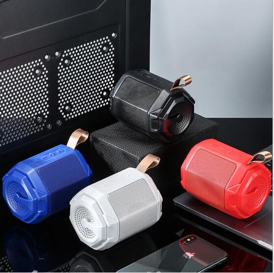 TF Card & FM Radio Wireless Speaker