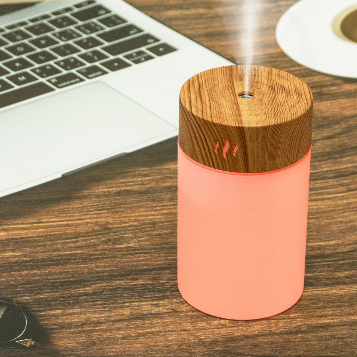 260ml USB Cool Mist Humidifier