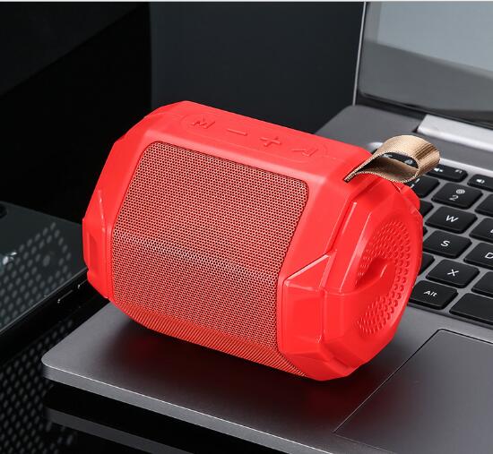TF Card & FM Radio Wireless Speaker