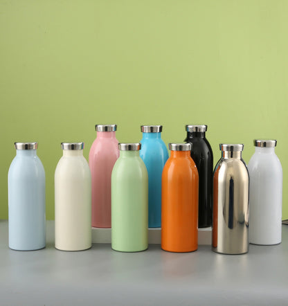 500ml Stainless Steel Insulated Water Bottle, 17oz, 304 Liner