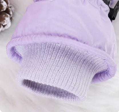 Ski Gloves Warm Waterproof Touchscreen Gloves