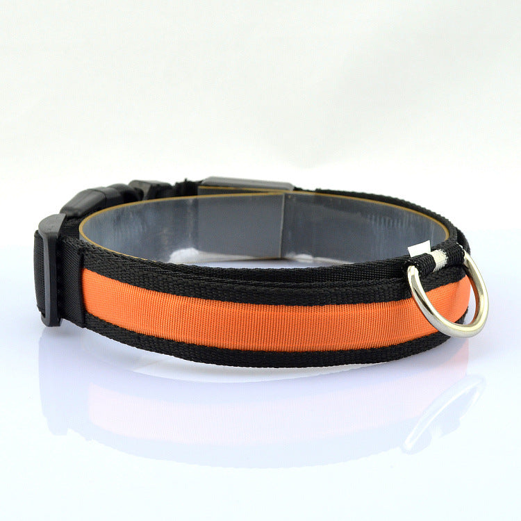 Pet Collar