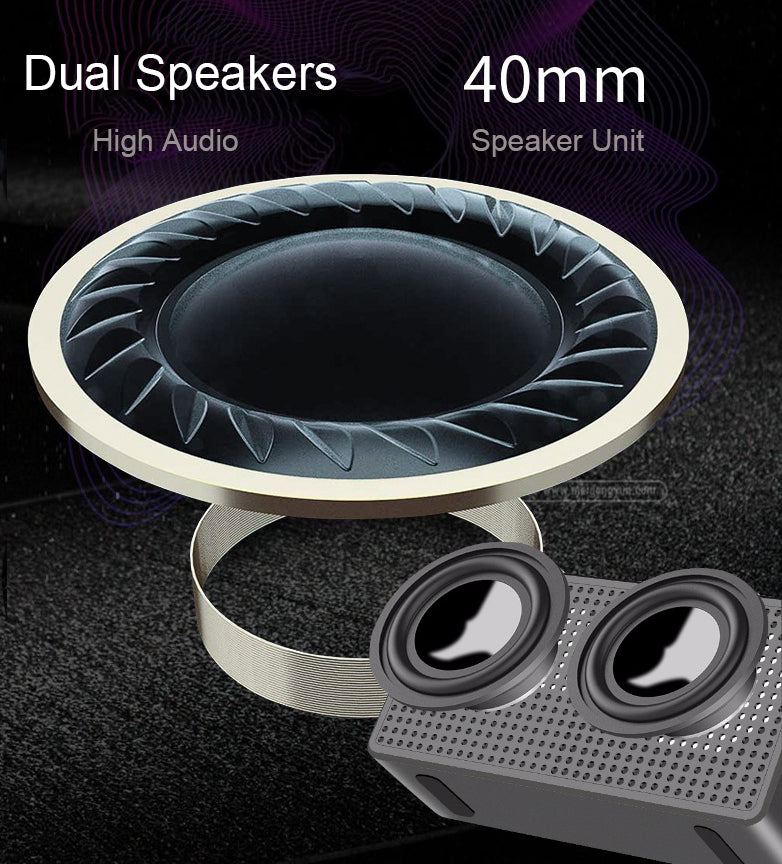 Dual Speaker