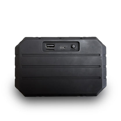 HiFi Graffiti Wireless Speaker(Customized Graffiti)