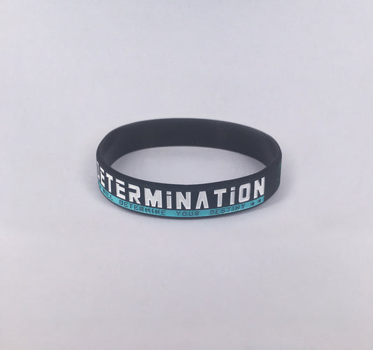 Color Filled 2 Colors Silicone Wristband