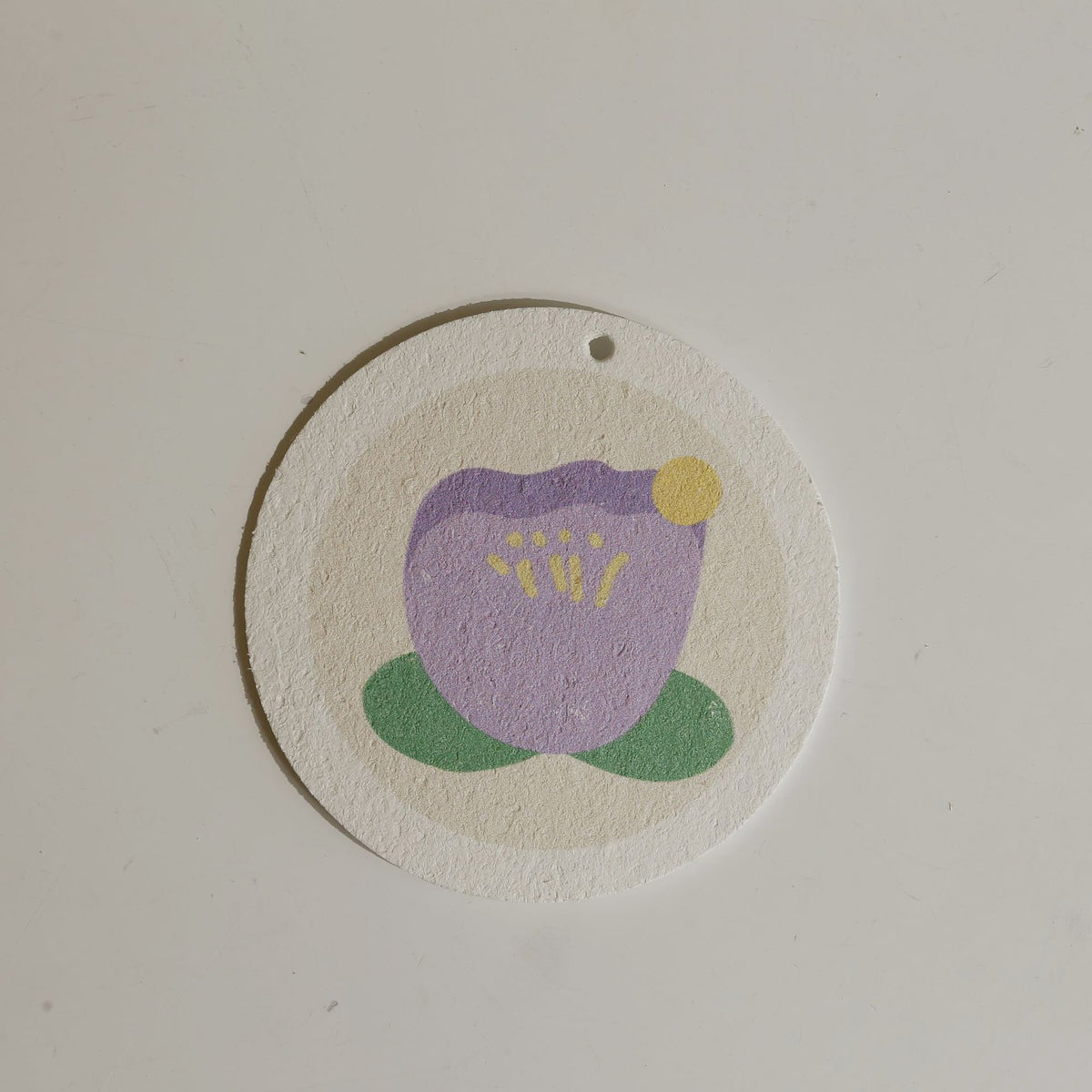 Round Shaped Compressed Sponge