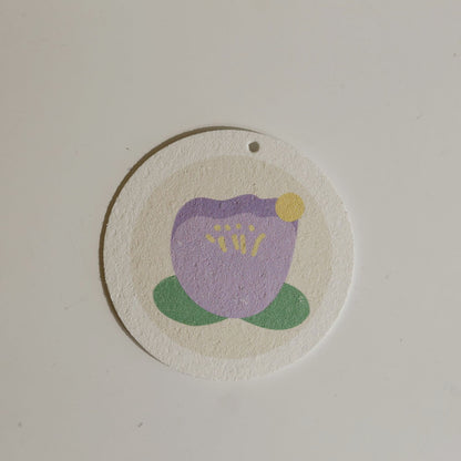 Round Shaped Compressed Sponge
