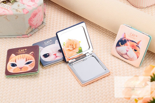 Little Rectangle Mirror