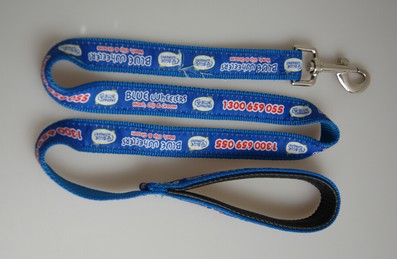 Pet Leash