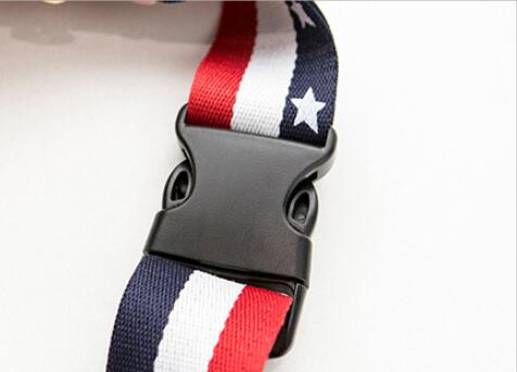 Buckle View