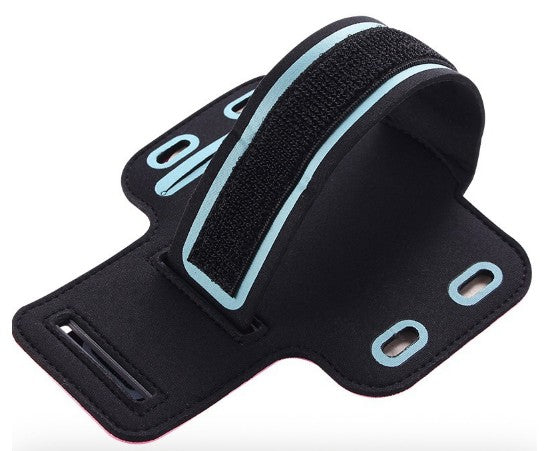 Back View