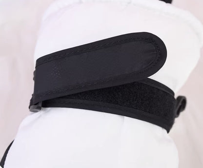 Ski Gloves Warm Waterproof Touchscreen Gloves