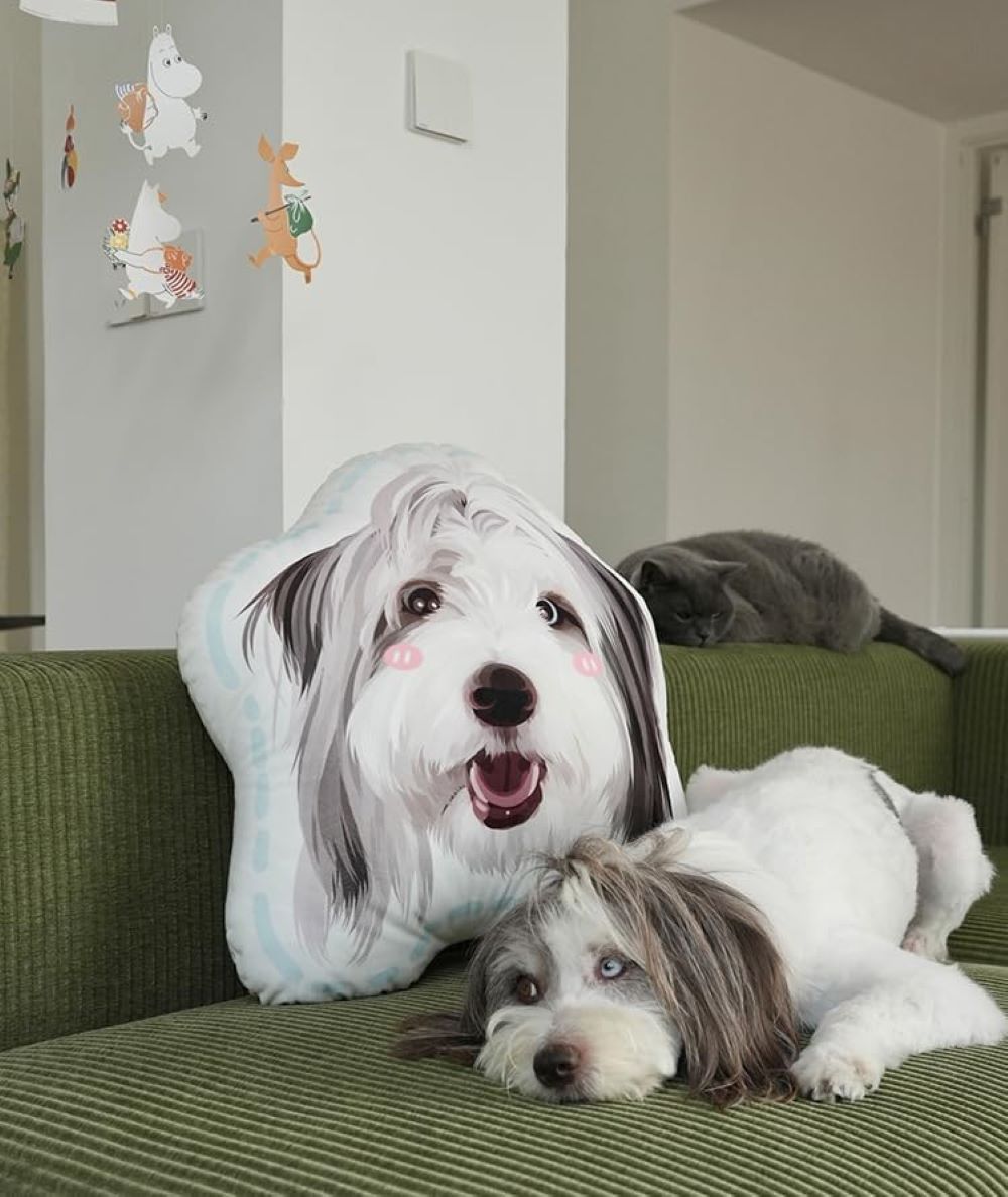 15'' to 20" Custom Pet Pillow with Photo Personalized Photo Shaped Dog Cat Face Pillow
