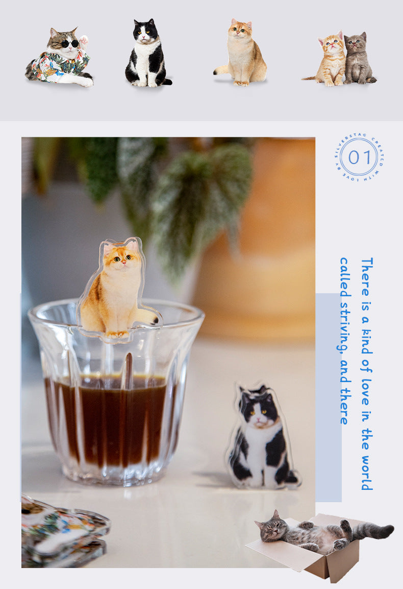 Cute Cat Shaped Acrylic Album Memo Clip Bag Binder Sealing Clip Food Bag Clamp-Two Sides Imprint