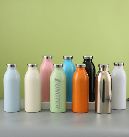 500ml Stainless Steel Insulated Water Bottle, 17oz, 304 Liner