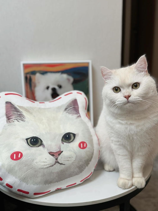 15'' to 20" Custom Pet Pillow with Photo Personalized Dog Cat Shaped Pillow