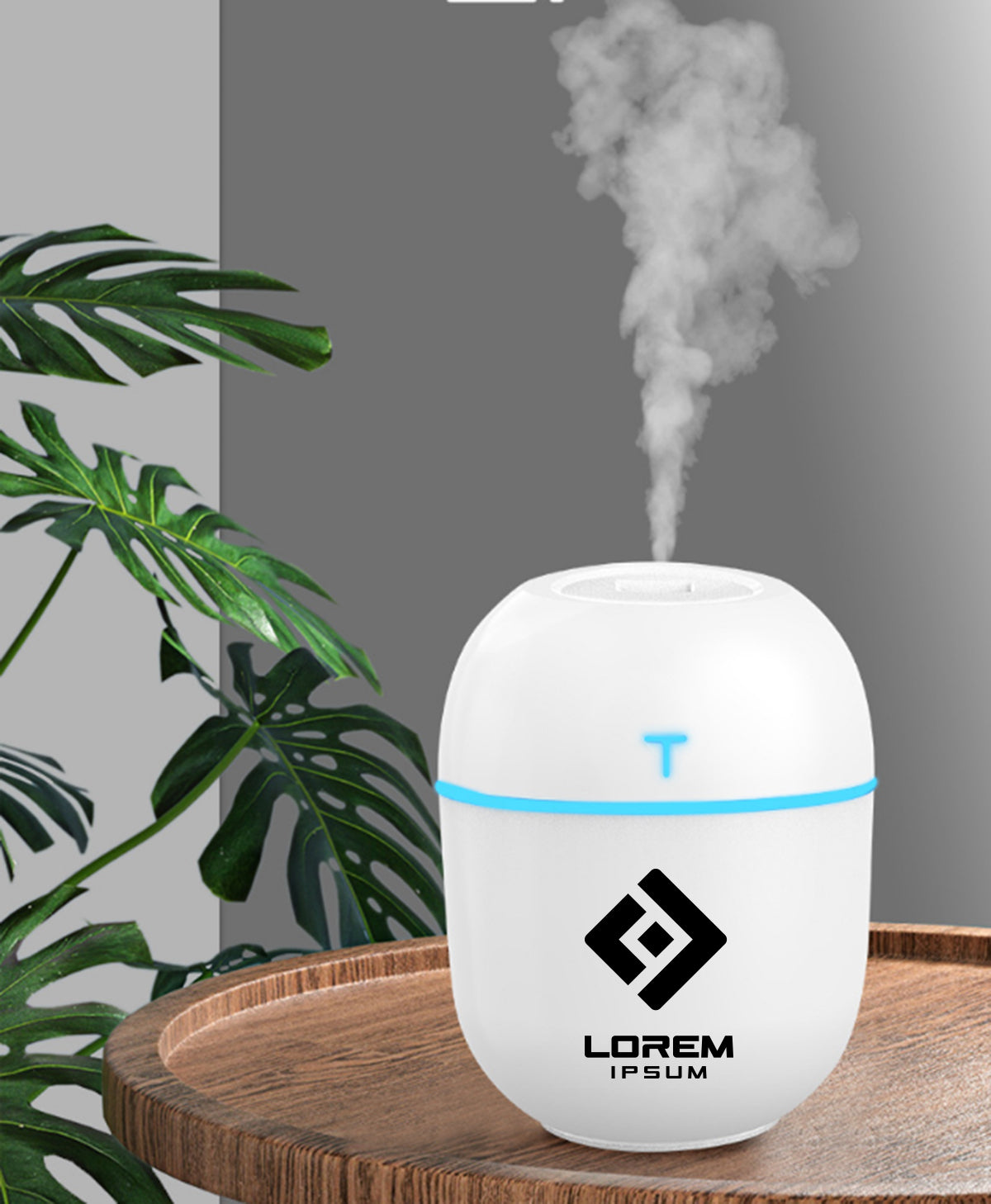 220ml Egg Shaped USB Ultrasonic Air Diffuser