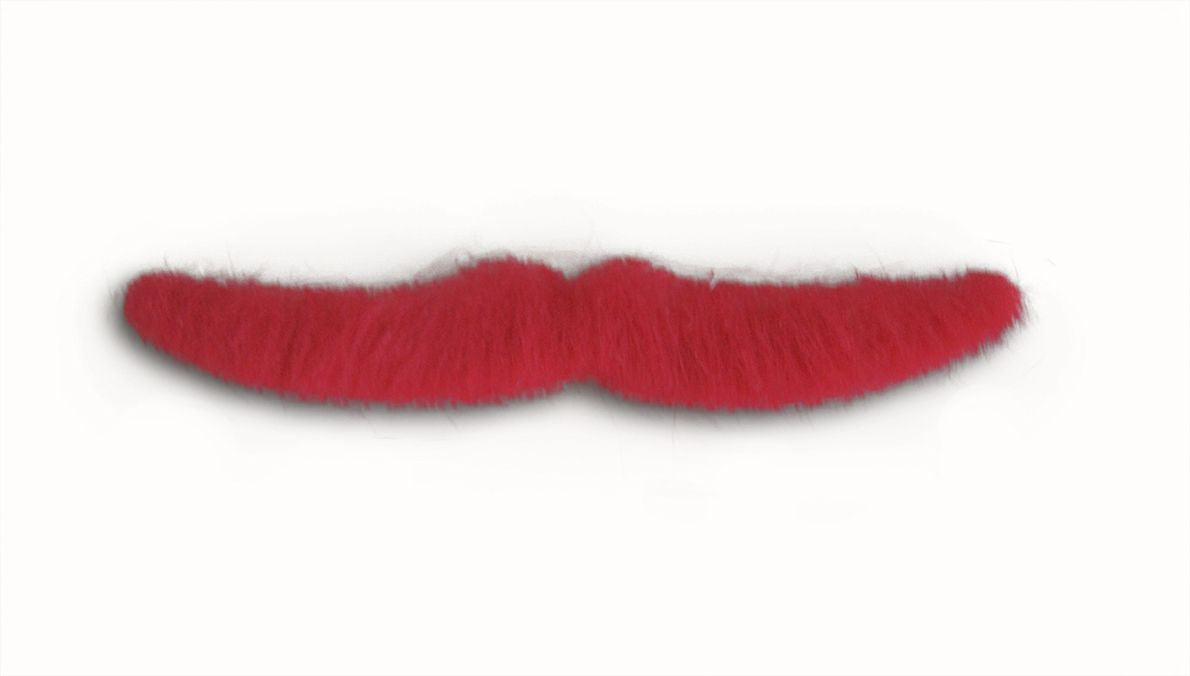 Fake Mustache
