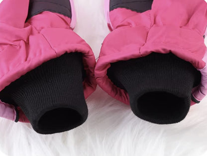 Ski Gloves Warm Waterproof Touchscreen Gloves
