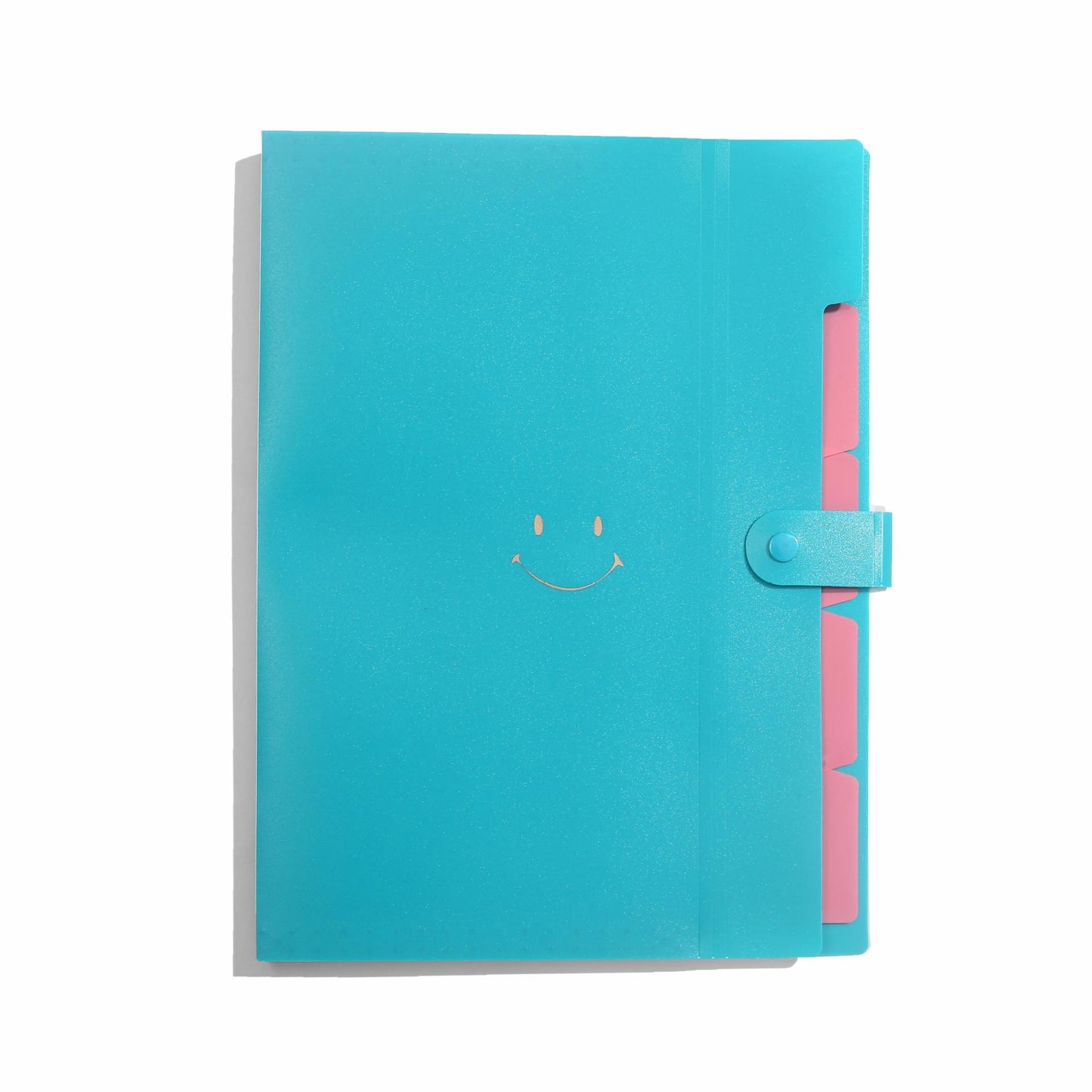 Letter A4 Size Expandable Poly File Folder with Snap Closures and Multi Pockets