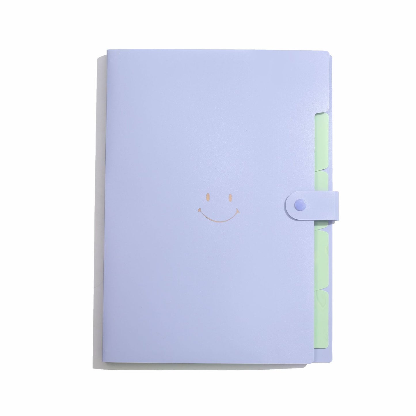 Letter A4 Size Expandable Poly File Folder with Snap Closures and Multi Pockets