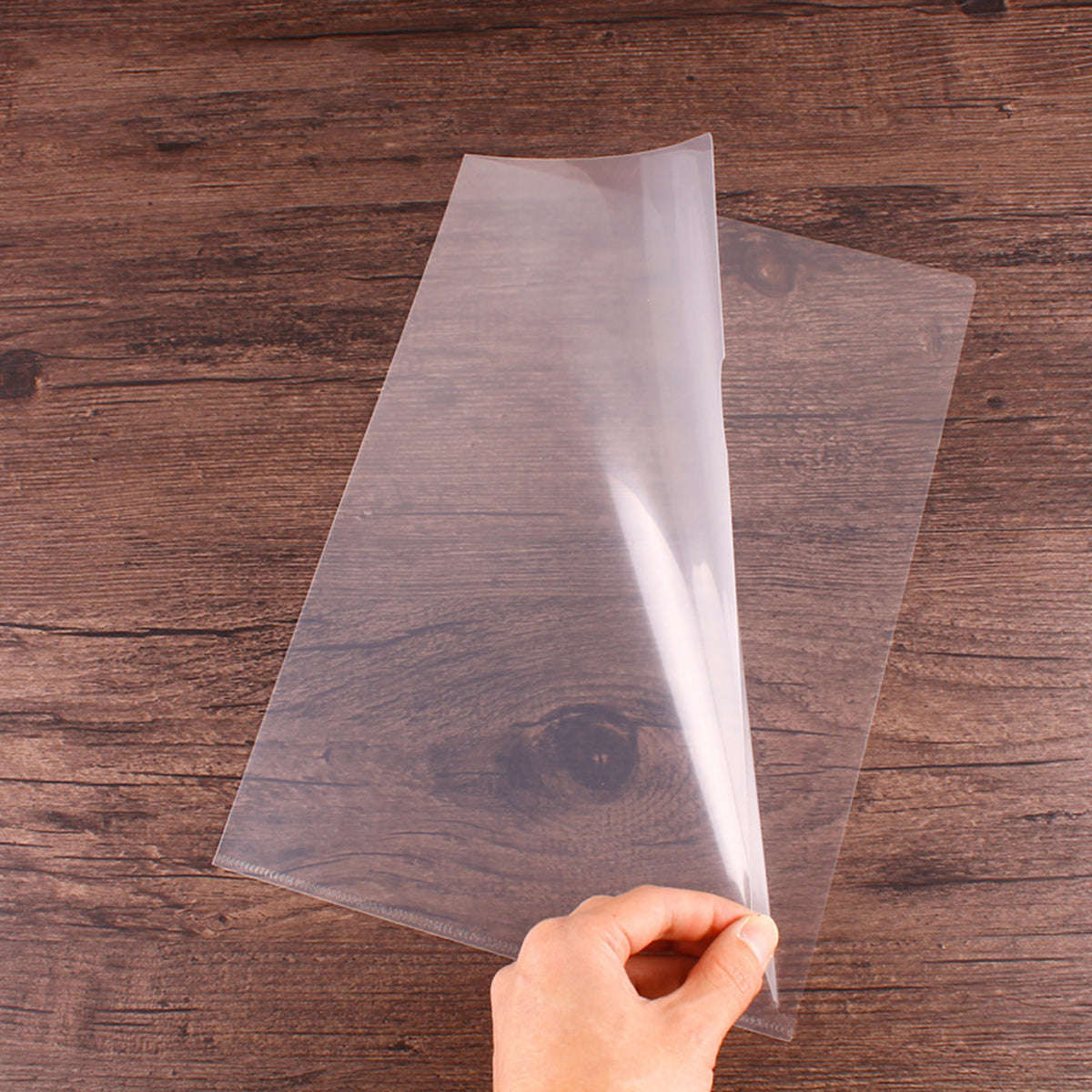 Plastic Folders for Document, Letter Size File Folder ( Transparent )