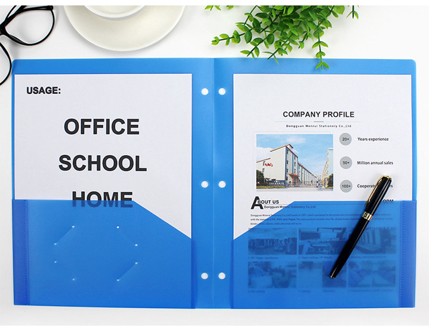 Basics Plastic Pocket Folder W/3 Hole
