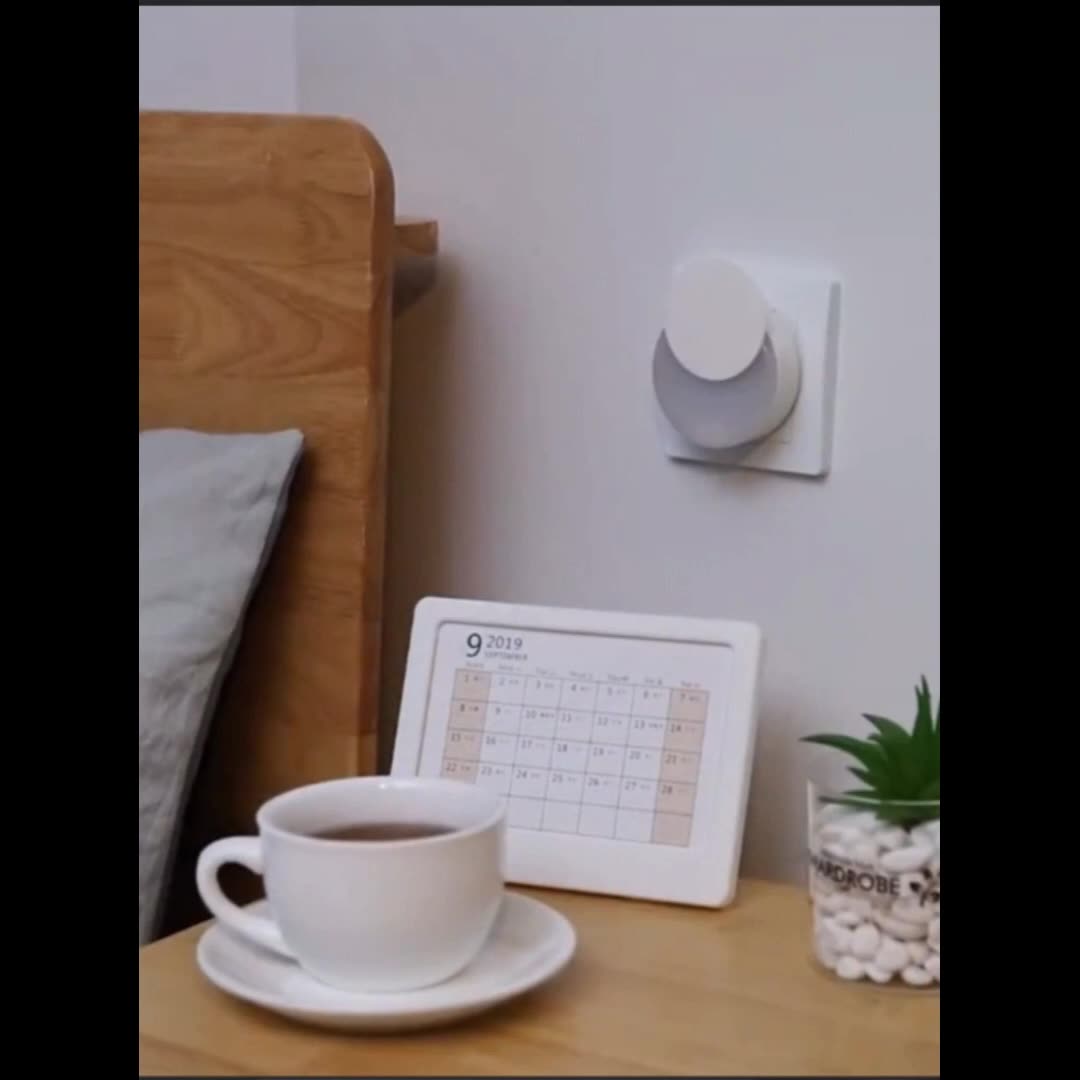 Auto On/Off Plug-in Night Light Dusk to Dawn Sensor Nightlight