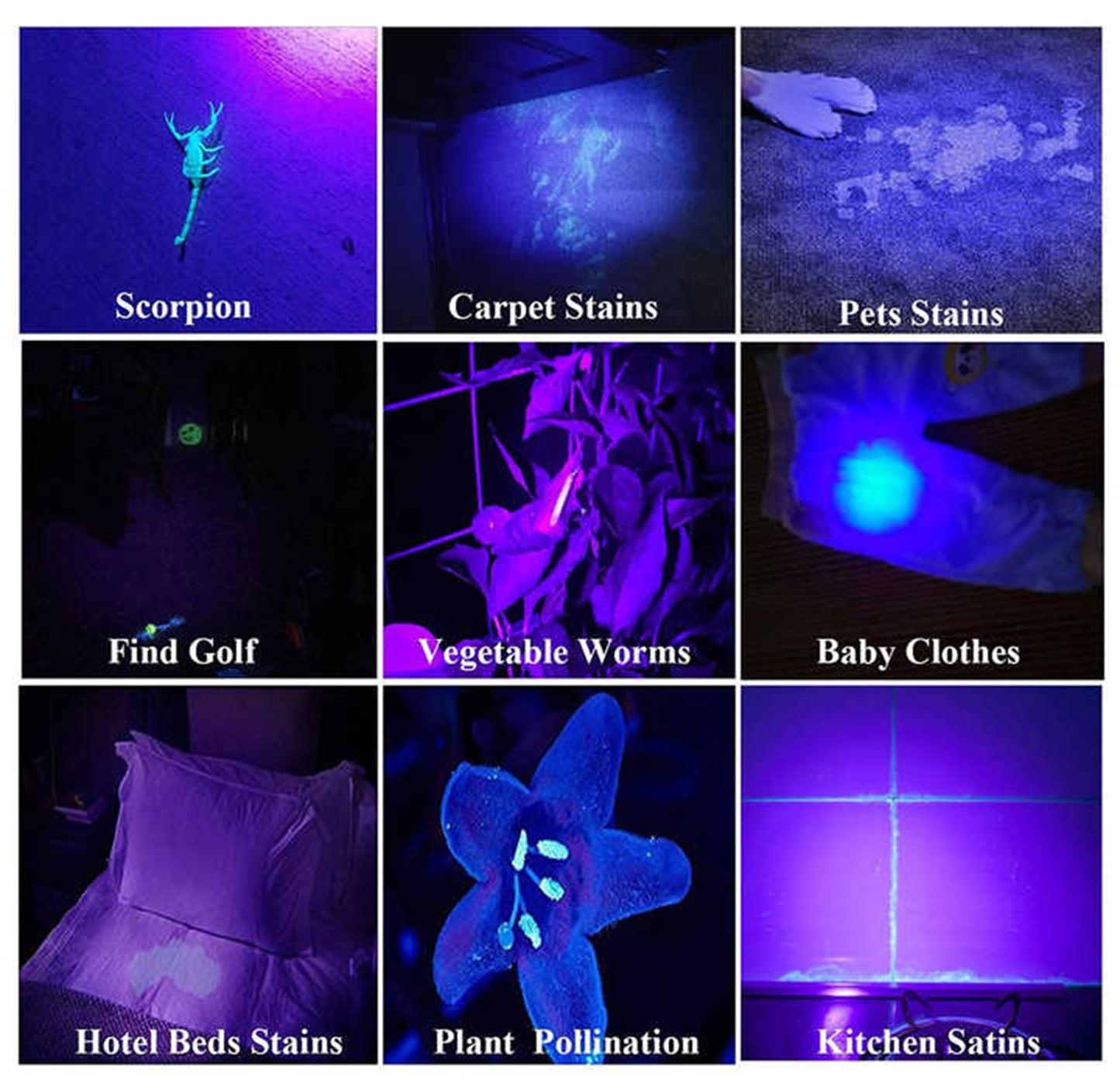 9 LED Mini Black Light UV Flashlight