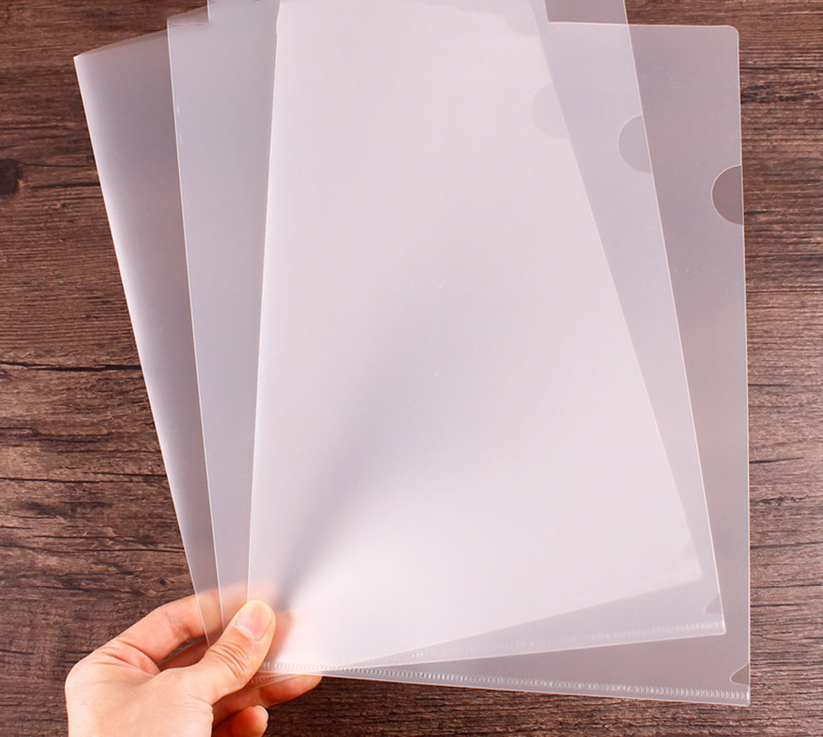 Plastic Folders for Document A4 Letter Size File Folder ( Frosting )