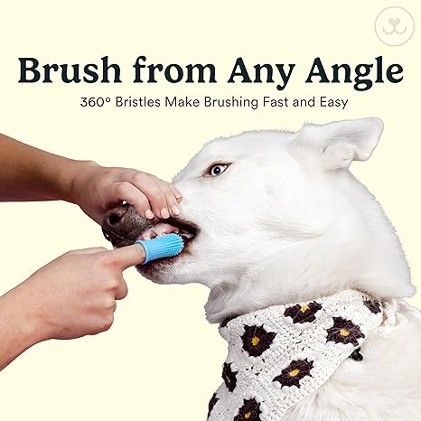 Dog & Cat Toothbrush, 360º Dog Tooth Brushing Kit