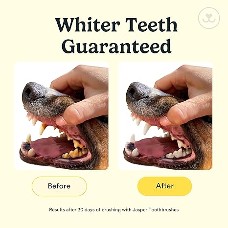 Dog & Cat Toothbrush, 360º Dog Tooth Brushing Kit