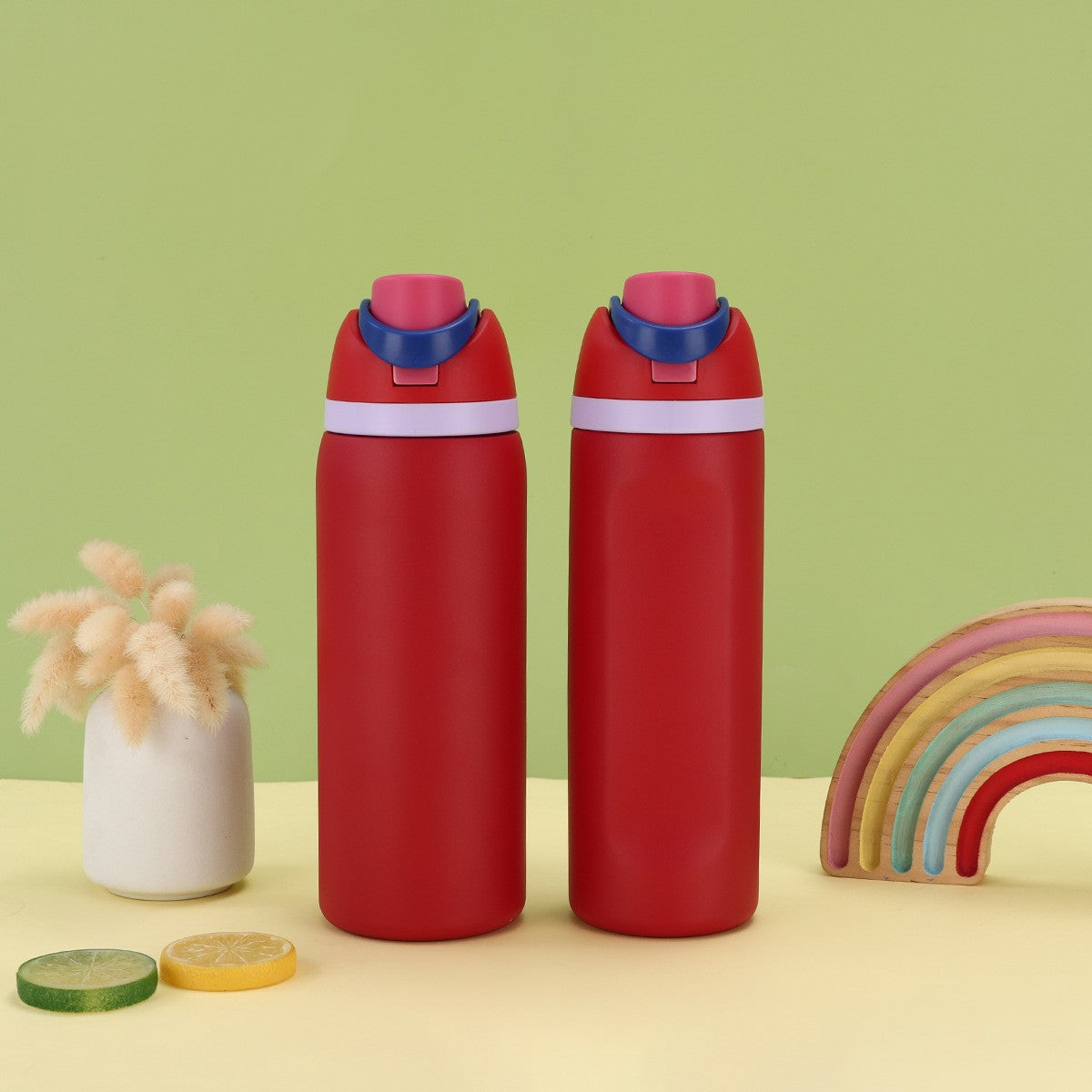24Oz Vacuum Insulated Water Bottle
