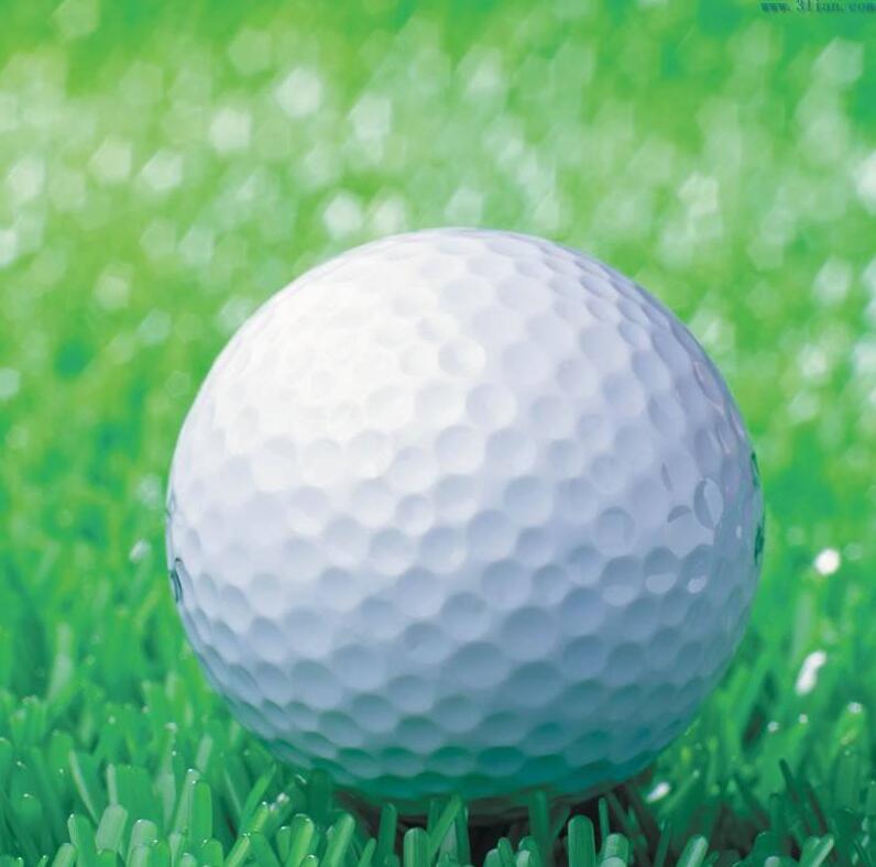 White Double-layer Training Golf Ball 392 Honeycombs