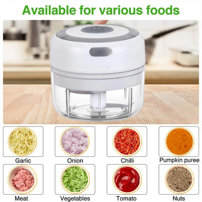 100 ml Portable Electric Garlic Masher