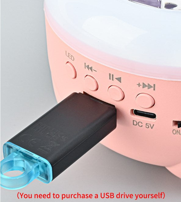 Disco Ball Home Party Light Show Speaker