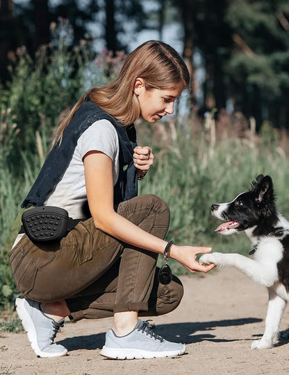 Silicone Treat Bag Fanny Pack With Waist Belt for Pet Training Walking