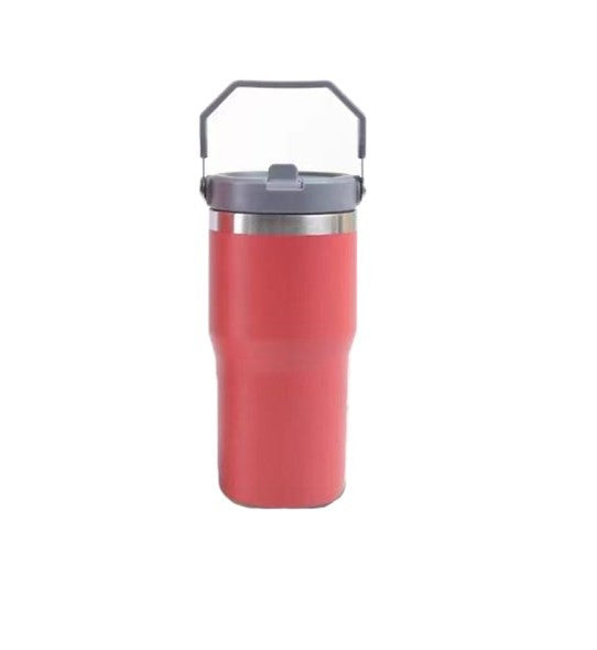 20Oz Stainless Steel Bottle with Carry Loop and Straw