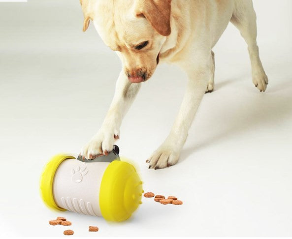 Pet Slow Feeder Ball Dog Treat Ball