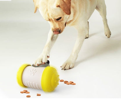 Pet Slow Feeder Ball Dog Treat Ball