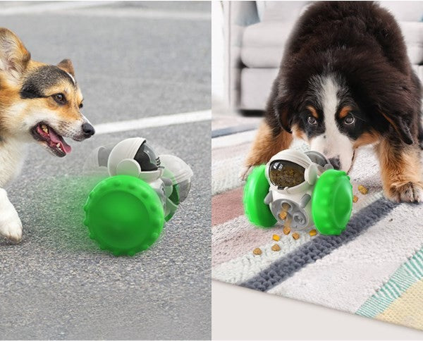 Pet Slow Feeder Ball Dog Treat Ball
