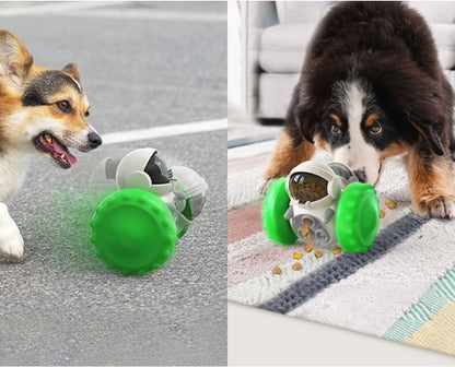 Pet Slow Feeder Ball Dog Treat Ball